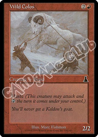 100 / 143 Wild Colos comune (EN) -NEAR MINT-