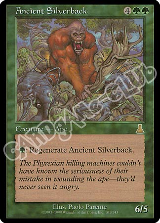 101 / 143 Ancient Silverback rara (EN) -NEAR MINT-