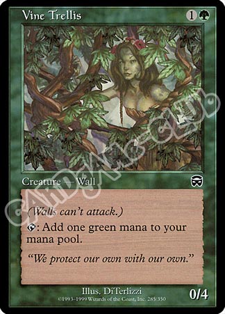 285 / 350 Vine Trellis comune (EN) -NEAR MINT-
