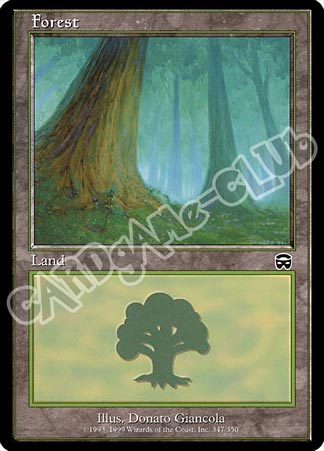 347 / 350 Forest comune (EN) -NEAR MINT-