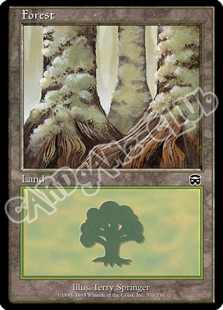 350 / 350 Forest comune (EN) -NEAR MINT-