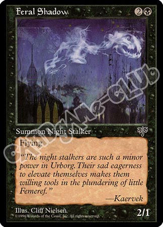 Feral Shadow comune (EN) -NEAR MINT-