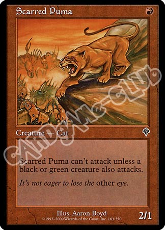 163 / 350 Scarred Puma comune (EN) -NEAR MINT-