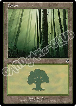 347 / 350 Forest comune (EN) -NEAR MINT-