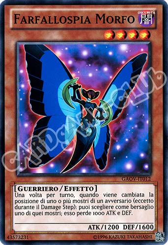GAOV-IT012 Farfallospia Morfo comune Unlimited (IT) -NEAR MINT-