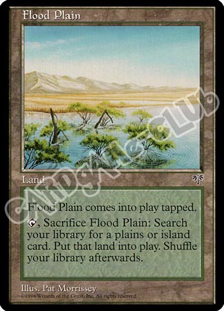 Flood Plain non comune (EN) -NEAR MINT-