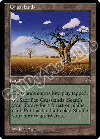 Grasslands non comune (EN) -NEAR MINT-