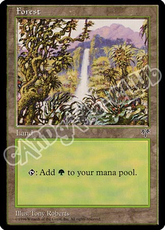 Forest comune (EN) -NEAR MINT-