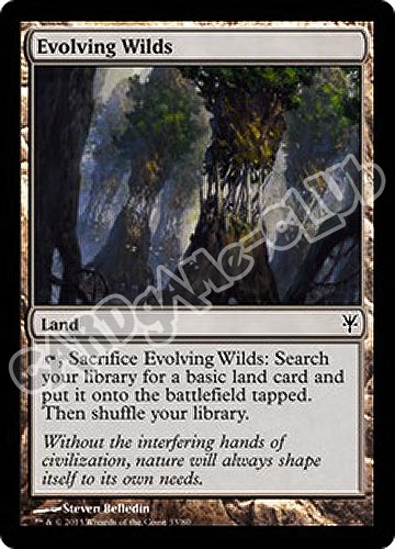 33 / 80 Evolving Wilds comune (EN) -NEAR MINT-