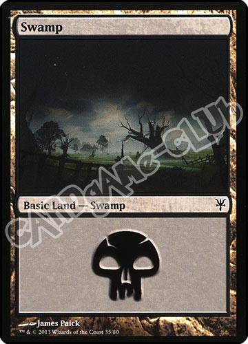 35 / 80 Swamp comune (EN) -NEAR MINT-