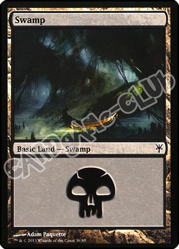 36 / 80 Swamp comune (EN) -NEAR MINT-