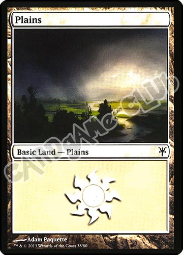 38 / 80 Plains comune (EN) -NEAR MINT-