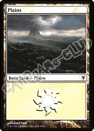 39 / 80 Plains comune (EN) -NEAR MINT-
