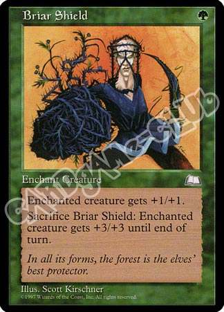 Briar Shield comune (EN) -NEAR MINT-