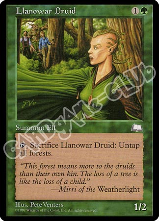 Llanowar Druid comune (EN) -NEAR MINT-
