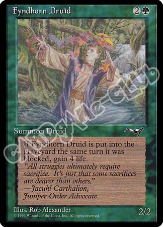 Fyndhorn Druid comune (EN) -NEAR MINT-