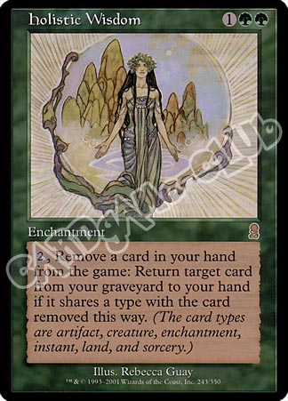 243 / 350 Holistic Wisdom rara (EN) -NEAR MINT-