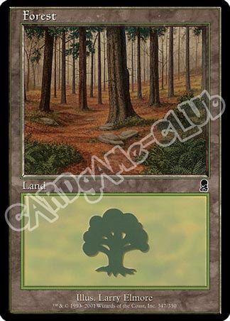 347 / 350 Forest comune (EN) -NEAR MINT-