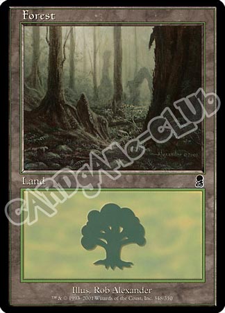 348 / 350 Forest comune (EN) -NEAR MINT-