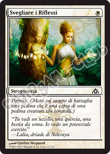 010 / 156 Svegliare i Riflessi comune (IT) -NEAR MINT-