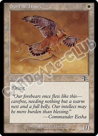 028 / 143 Suntail Hawk comune (EN) -NEAR MINT-