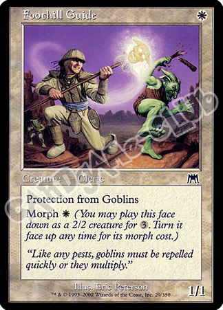 029 / 350 Foothill Guide comune (EN) -NEAR MINT-