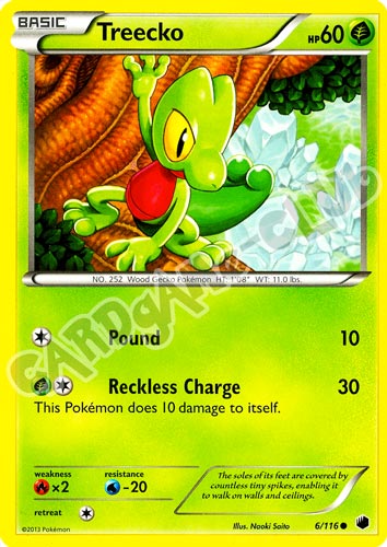006 / 116 Treecko comune (EN) -NEAR MINT-