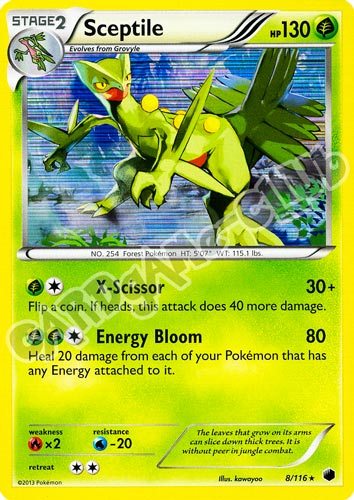 008 / 116 Sceptile rara foil (EN) -NEAR MINT-