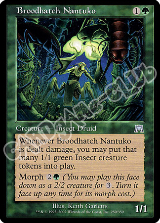 250 / 350 Broodhatch Nantuko non comune (EN) -NEAR MINT-