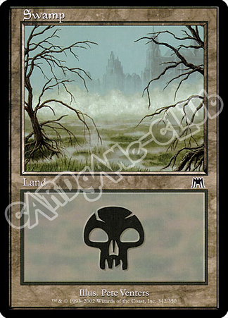 342 / 350 Swamp comune (EN) -NEAR MINT-