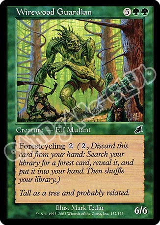 132 / 143 Wirewood Guardian comune (EN) -NEAR MINT-