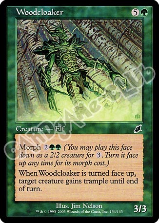 134 / 143 Woodcloacker comune (EN) -NEAR MINT-