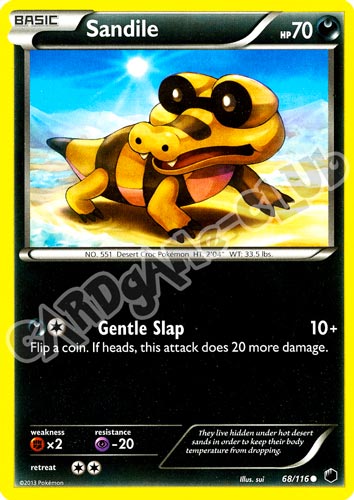 068 / 116 Sandile comune (EN) -NEAR MINT-