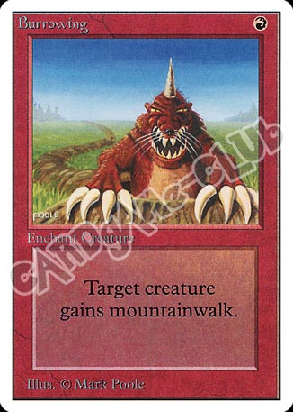 Burrowing non comune (EN) -NEAR MINT-
