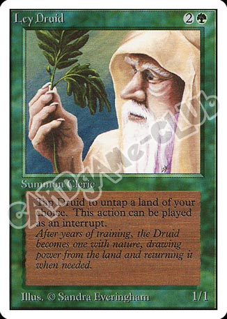 Ley Druid non comune (EN) -NEAR MINT-