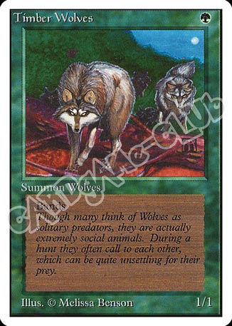 Timber Wolves rara (EN) -NEAR MINT-