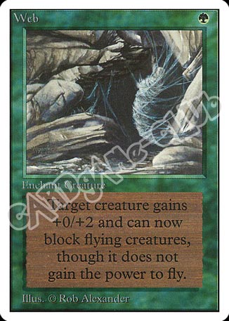Web rara (EN) -NEAR MINT-