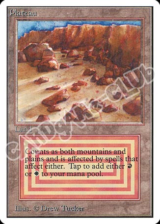 Forest comune (EN) -NEAR MINT-