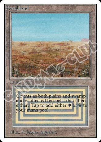 Forest comune (EN) -NEAR MINT-