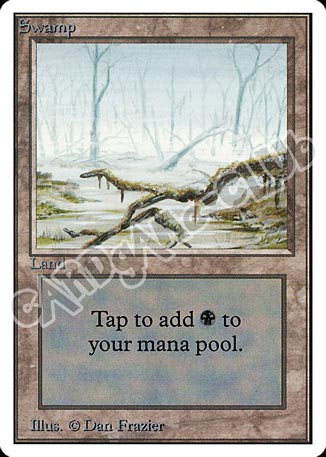 Scrubland rara (EN) -NEAR MINT-