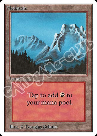 Taiga rara (EN) -NEAR MINT-