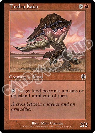 071 / 143 Tundra Kavu comune (EN) -NEAR MINT-