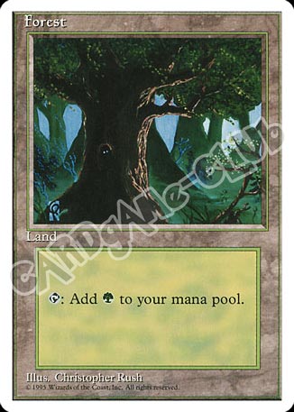 Forest comune (EN) -NEAR MINT-