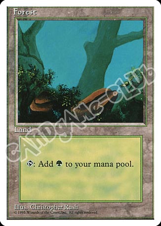 Forest comune (EN) -NEAR MINT-