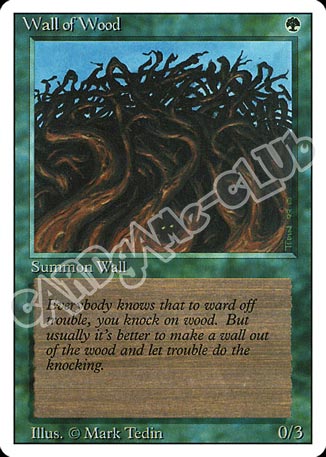 Wall of Wood comune (EN) -NEAR MINT-