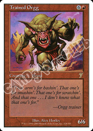 224 / 350 Trained Orgg rara (EN) -NEAR MINT-