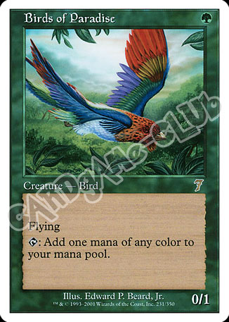 231 / 350 Birds of Paradise rara (EN) -NEAR MINT-