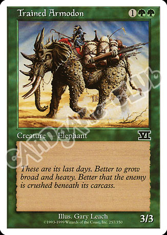 257 / 350 Trained Armodon comune (EN) -NEAR MINT-