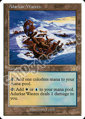 319 / 350 Adarkar Wastes rara (EN) -NEAR MINT-