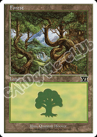 347 / 350 Forest comune (EN) -NEAR MINT-